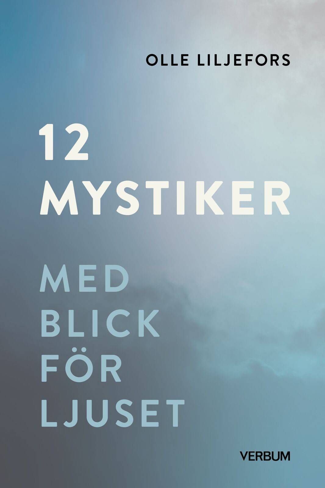 12 mystiker : Med blick för ljuset