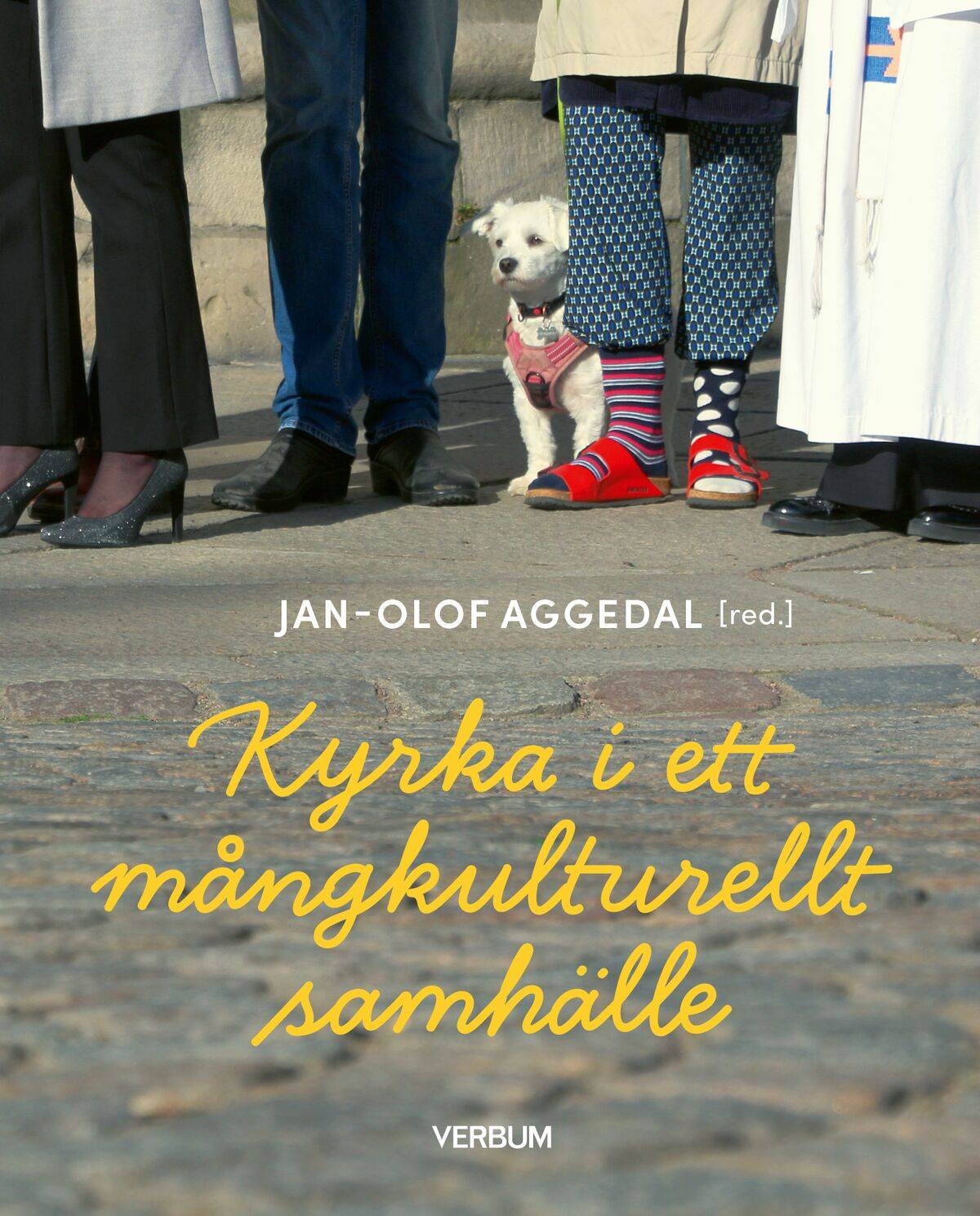Kyrka i ett mångkulturellt samhälle