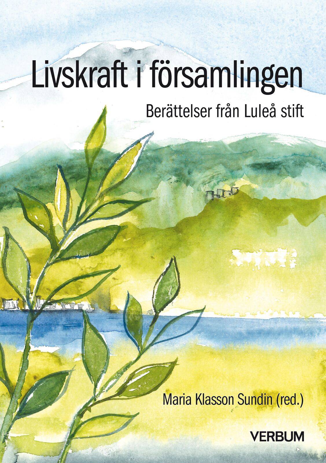 Livskraft i församlingen : berättelser från Luleå stift