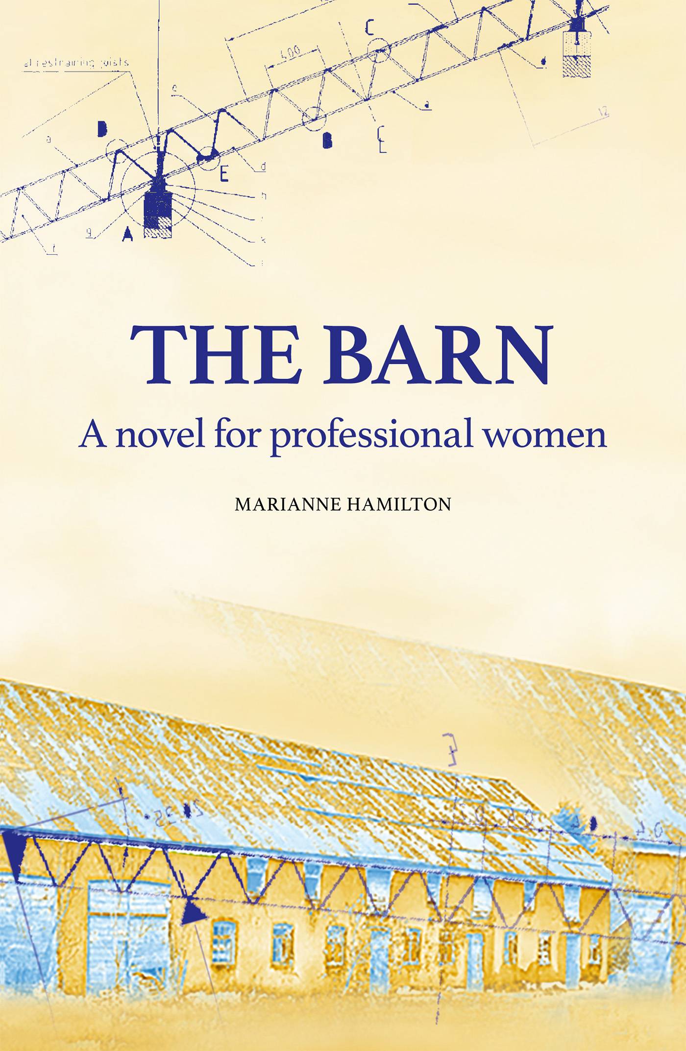 The Barn : a novel for professional woman