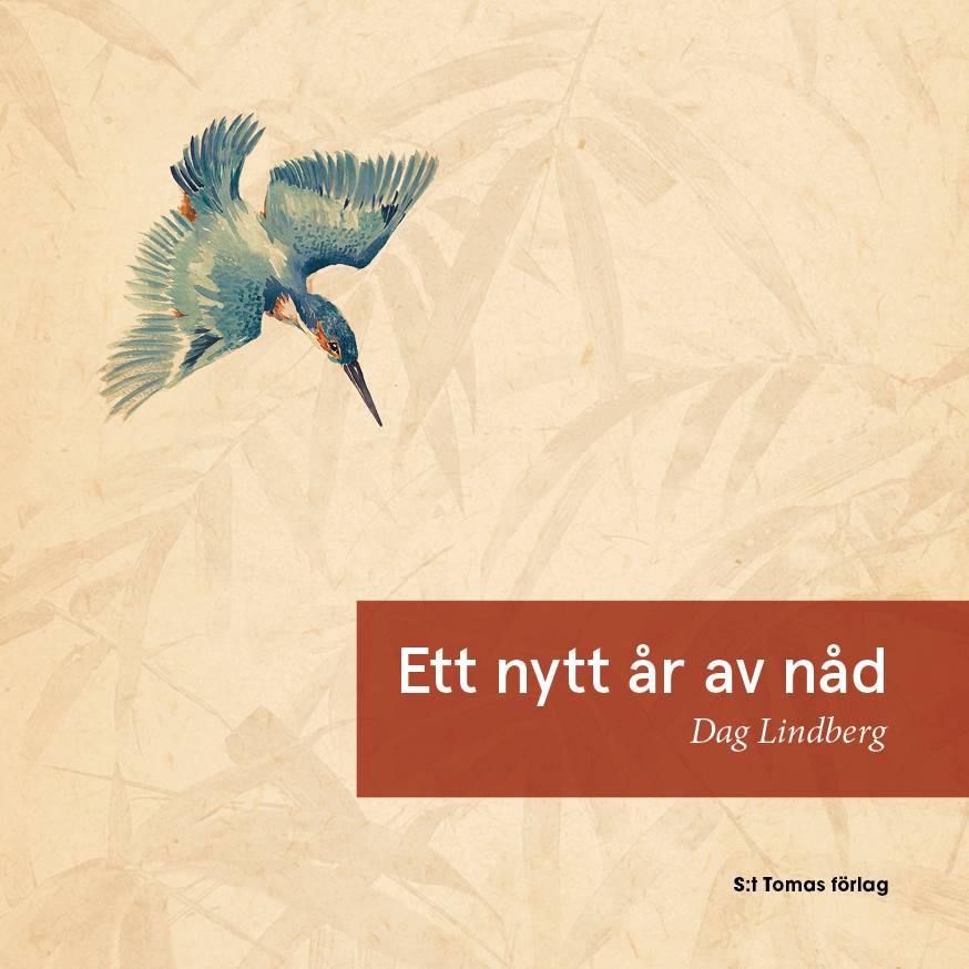 Ett nytt år av nåd