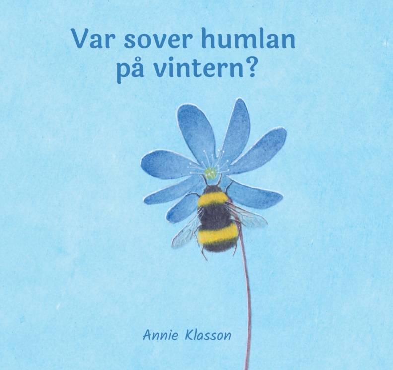 Var sover humlan på vintern?