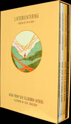 Livsorientering : konsten att hitta fram