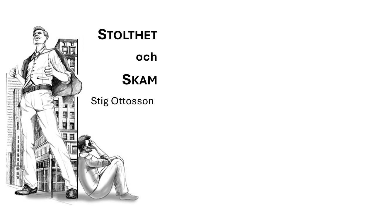 Stolthet och skam