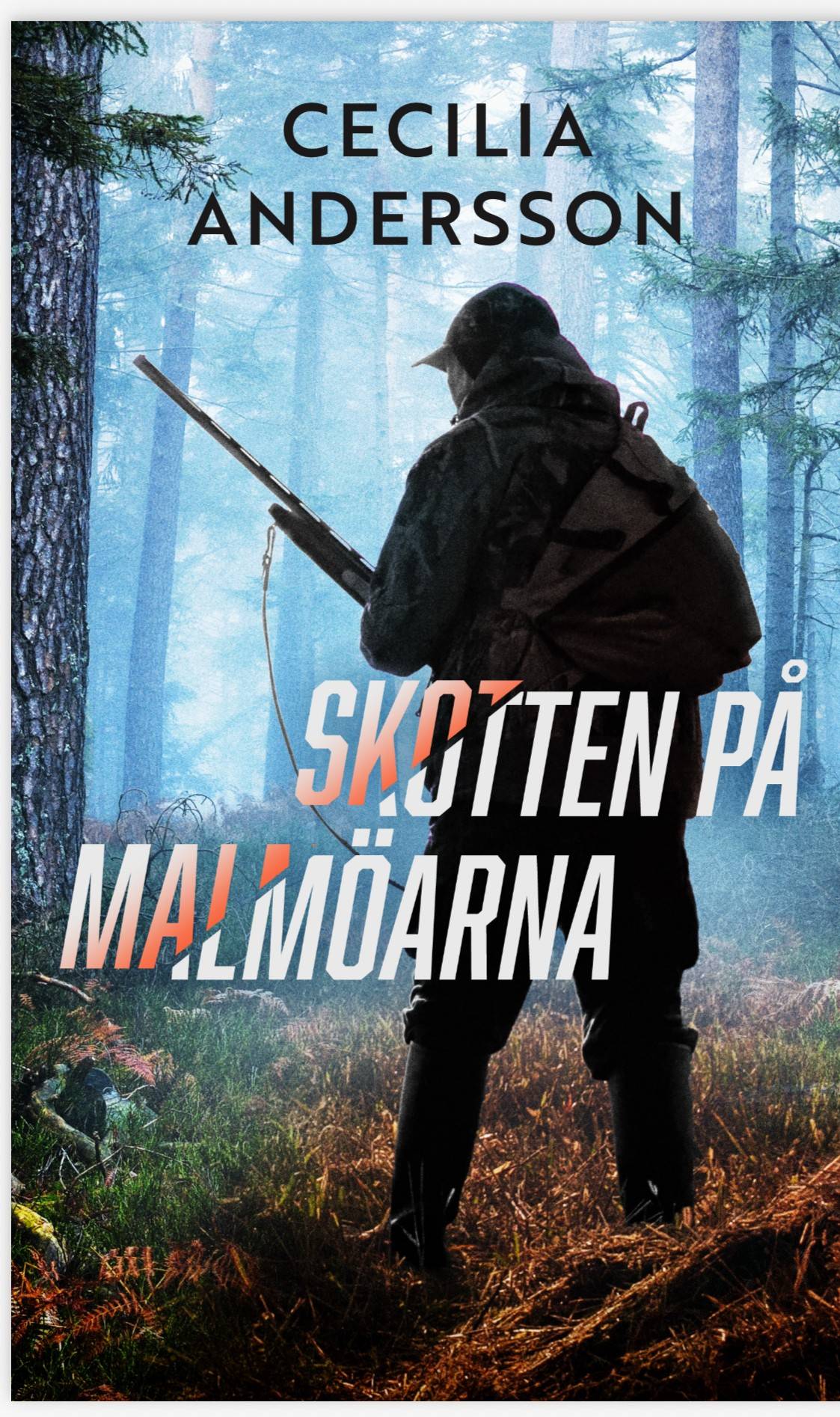Skotten på Malmöarna