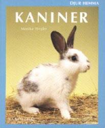 Kaniner