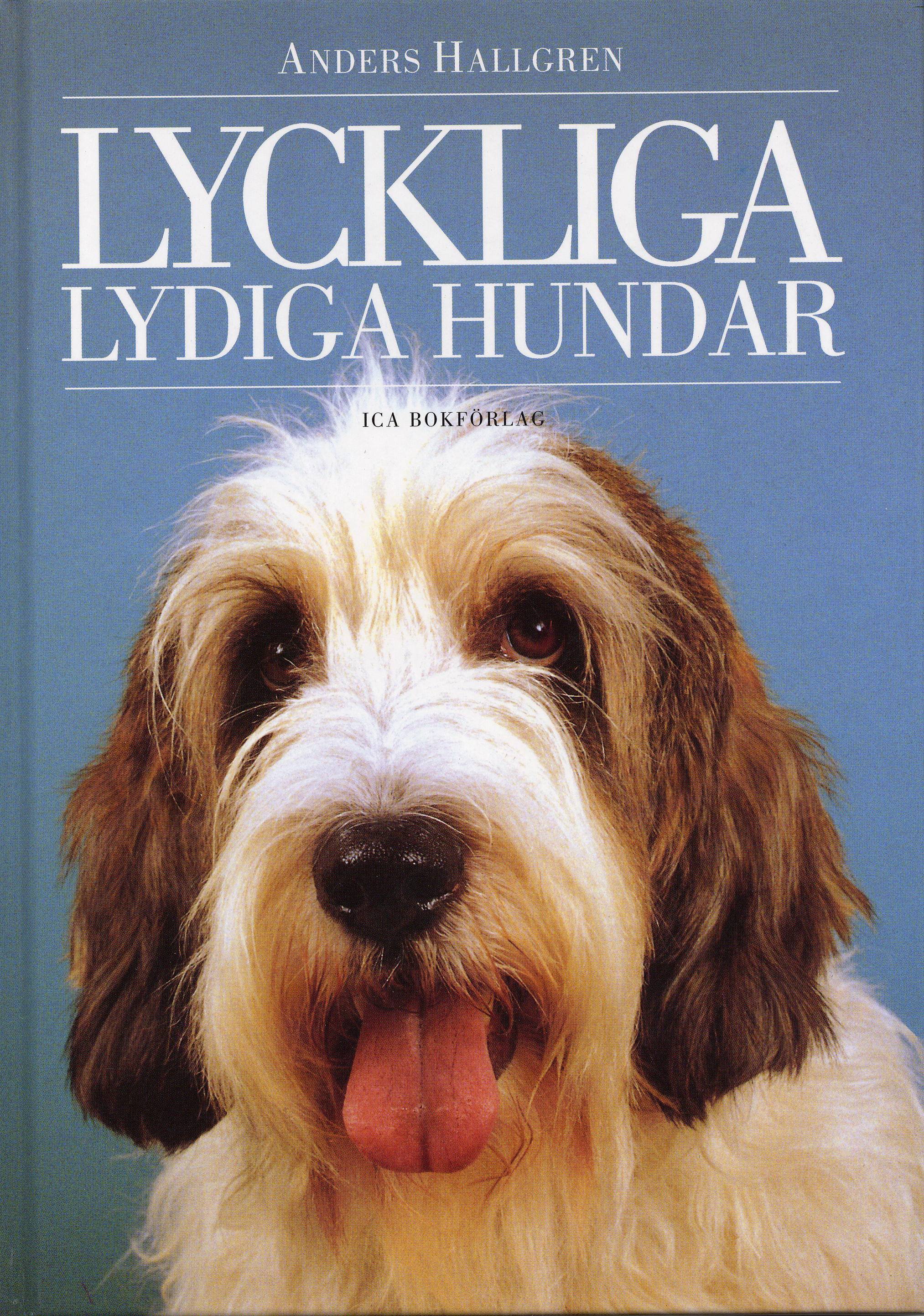 Lyckliga lydiga hundar