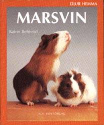 Marsvin