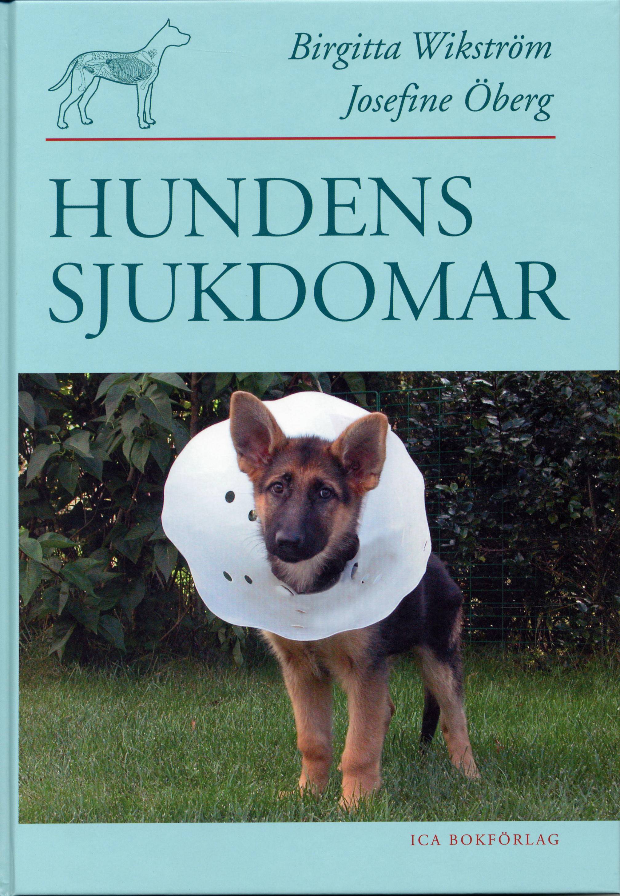 Hundens sjukdomar