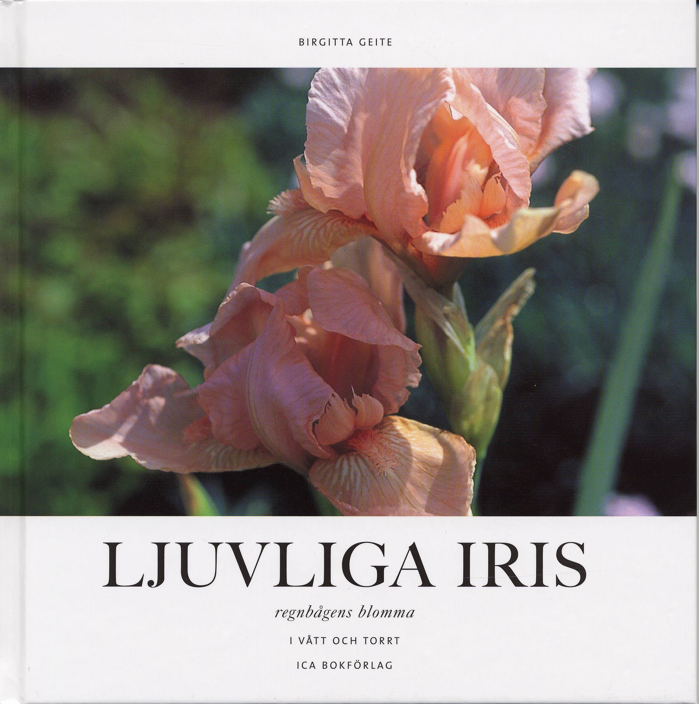 Ljuvliga iris : regnbågens blomma : i vått och torrt