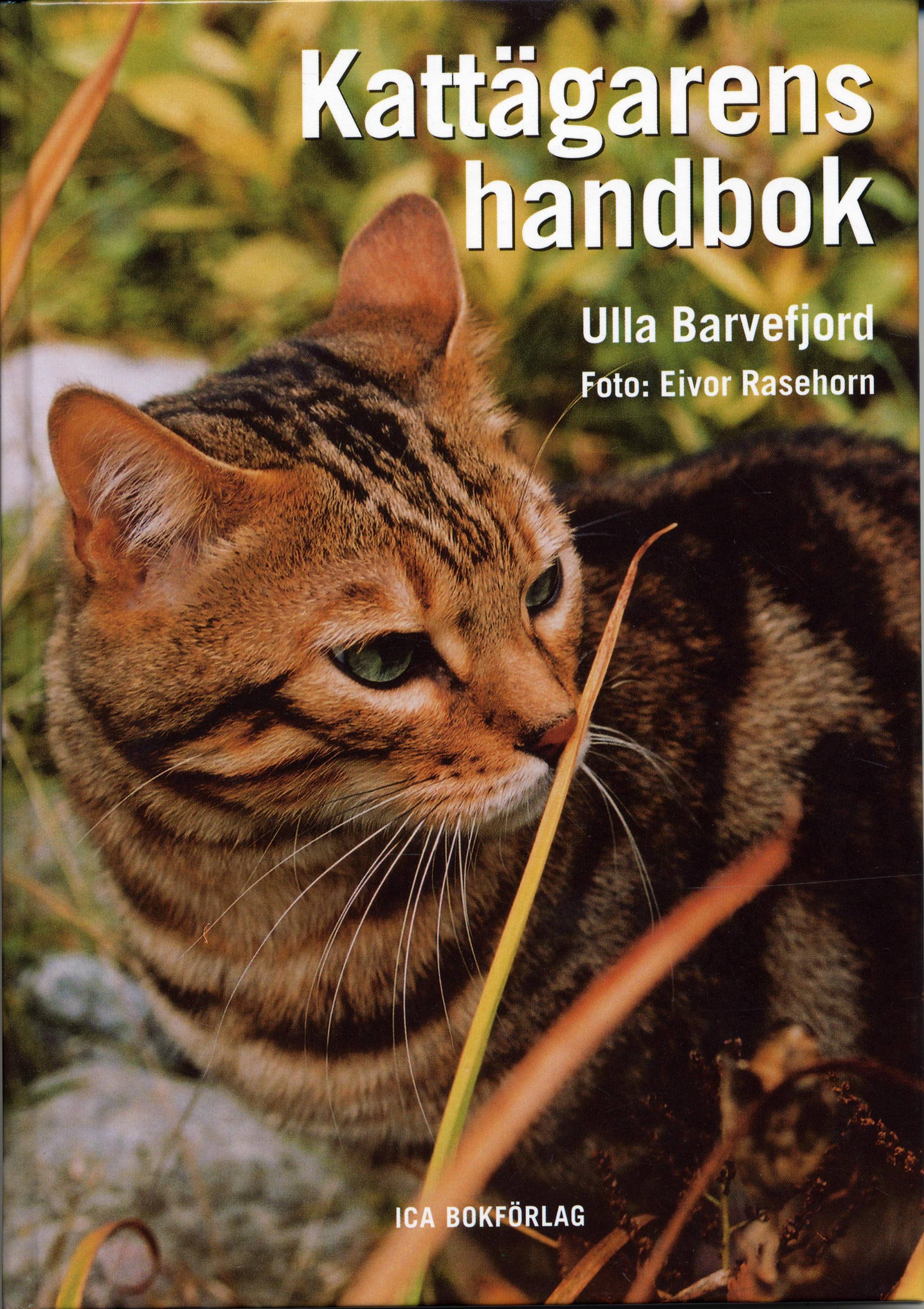 Kattägarens handbok