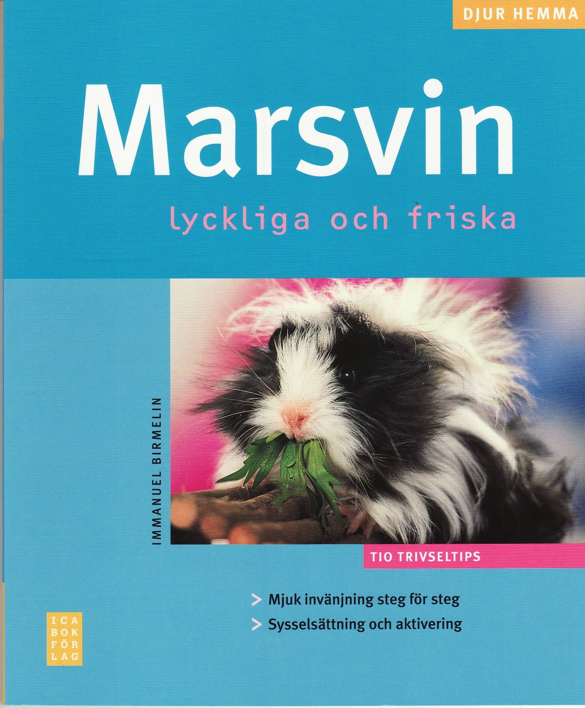 Marsvin