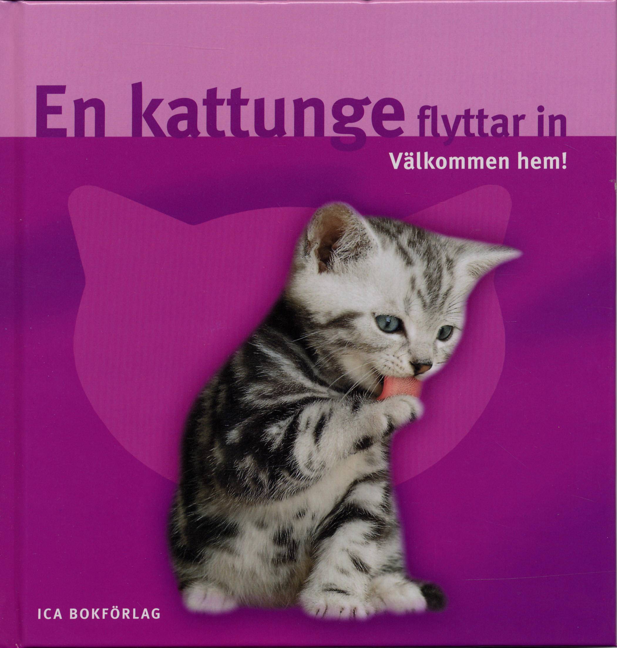 En kattunge flyttar in : välkommen hem!