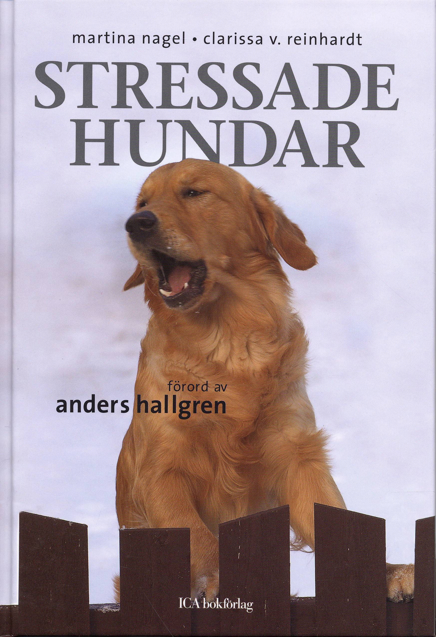 Stressade hundar