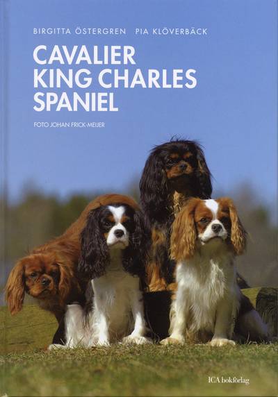 Cavalier king charles spaniel