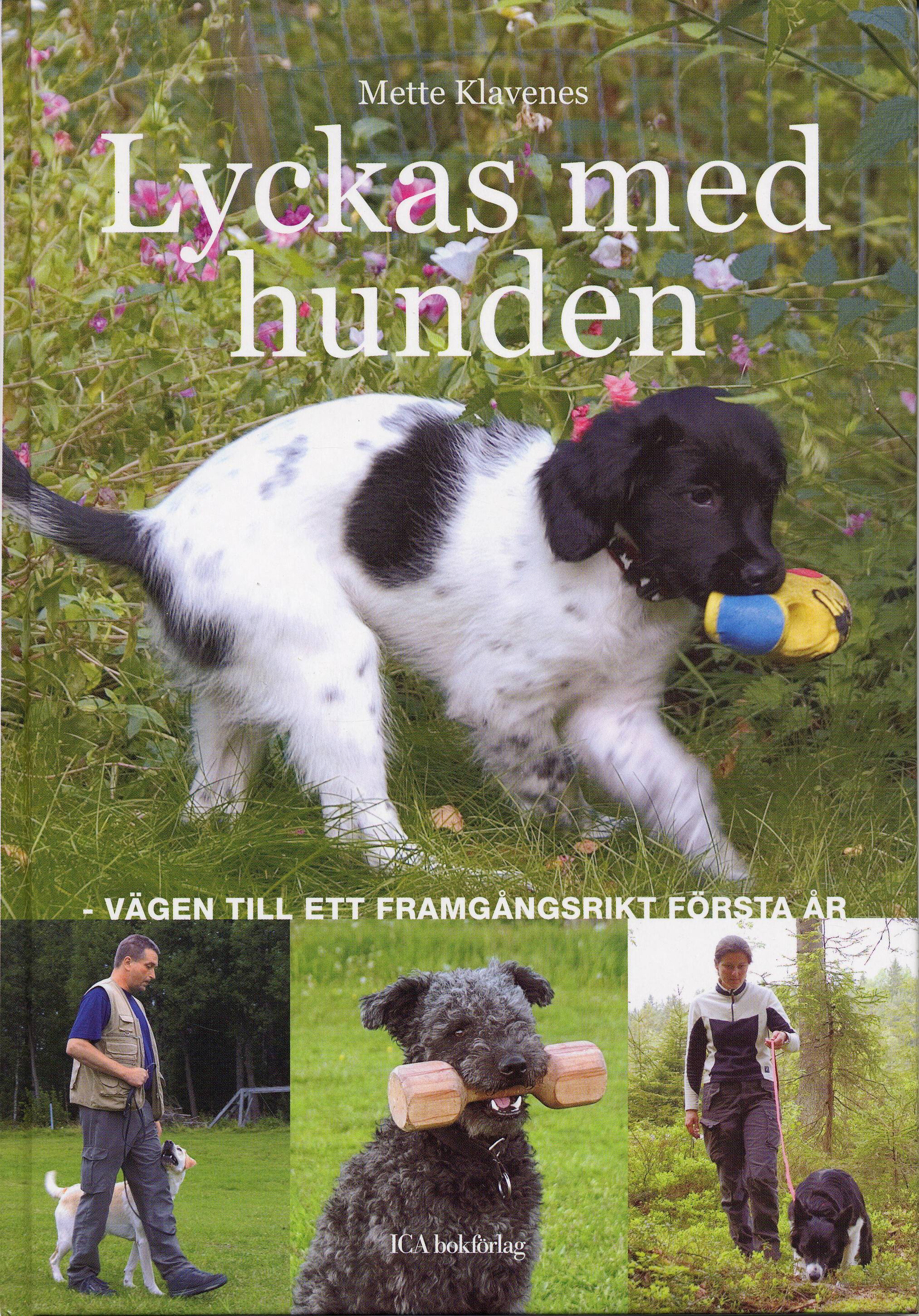 Lyckas med hunden : Vägen till ett framgångsrikt första år