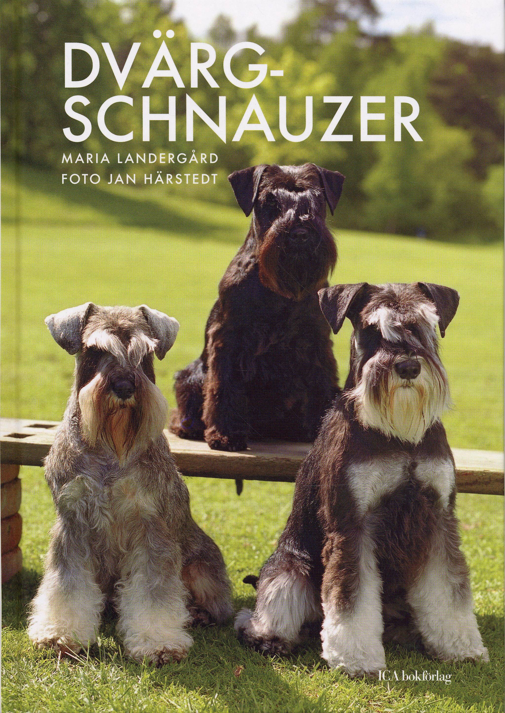 Dvärgschnauzer