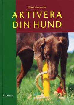 Aktivera din hund