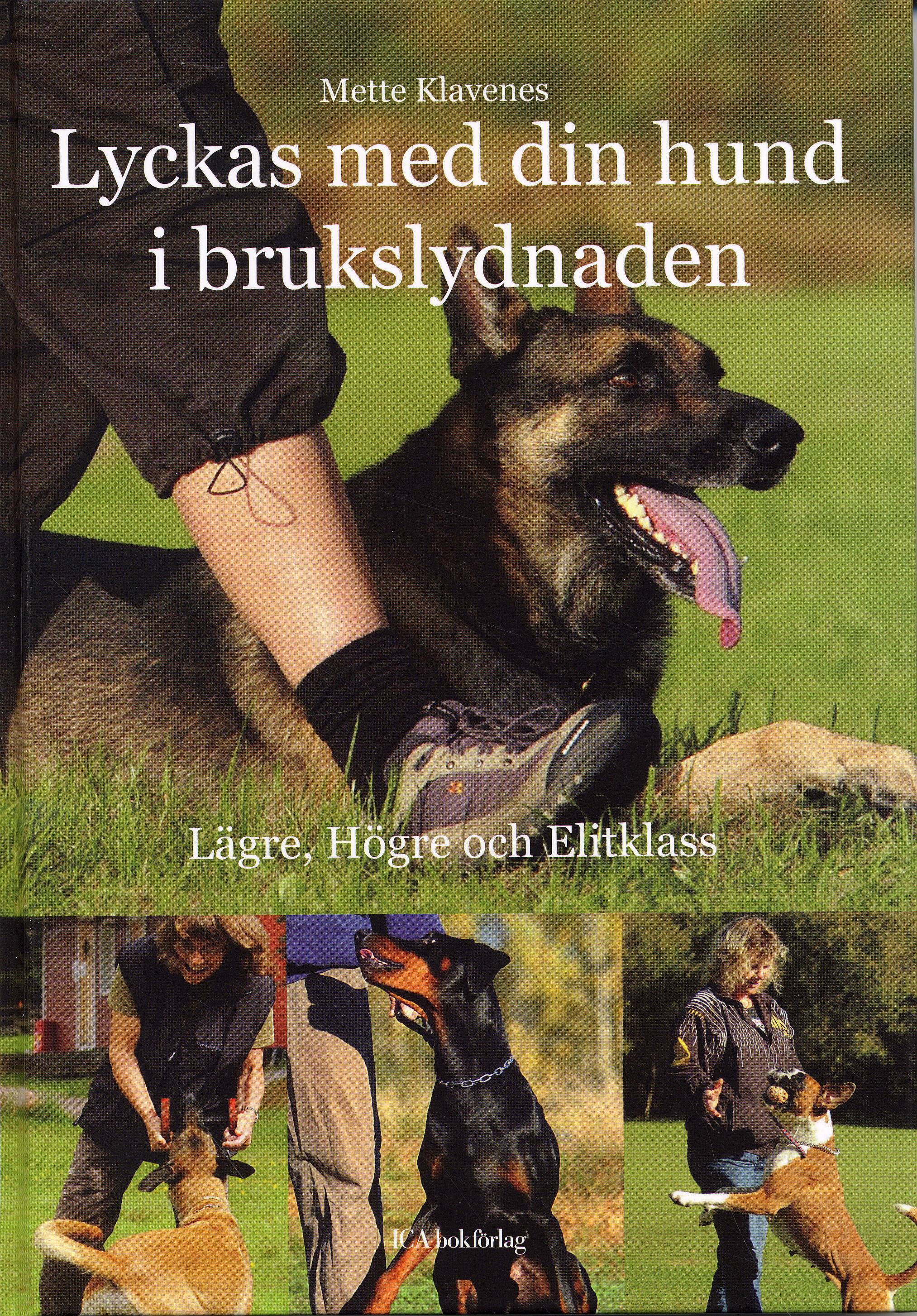 Lyckas med din hund i brukslydnaden : Lägre, Högre och Elitklass