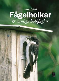 Fågelholkar & vanliga holkfåglar