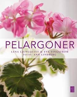 Pelargoner
