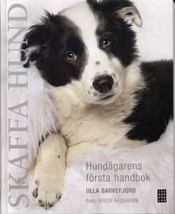 Skaffa hund : hundägarens första handbok