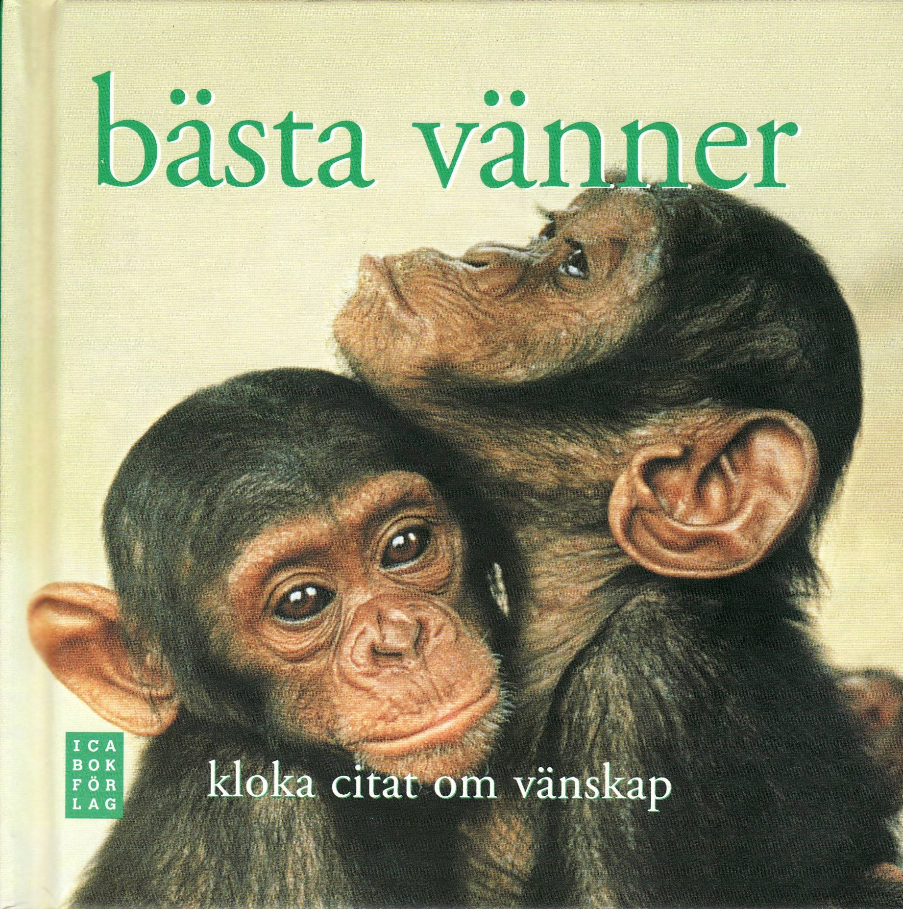 Bästa vänner : kloka citat om vänskap