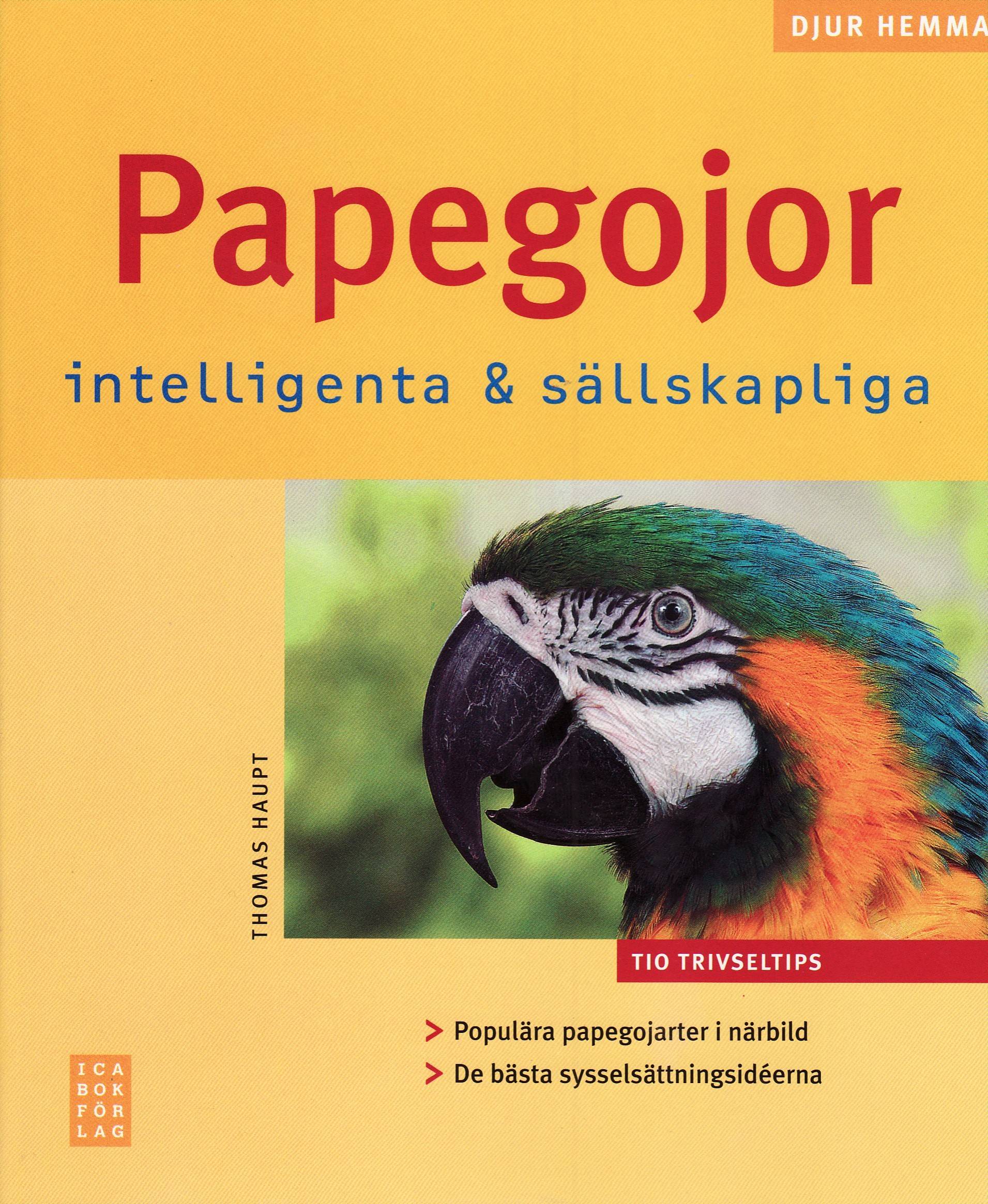 Papegojor : intelligenta & sällskapliga