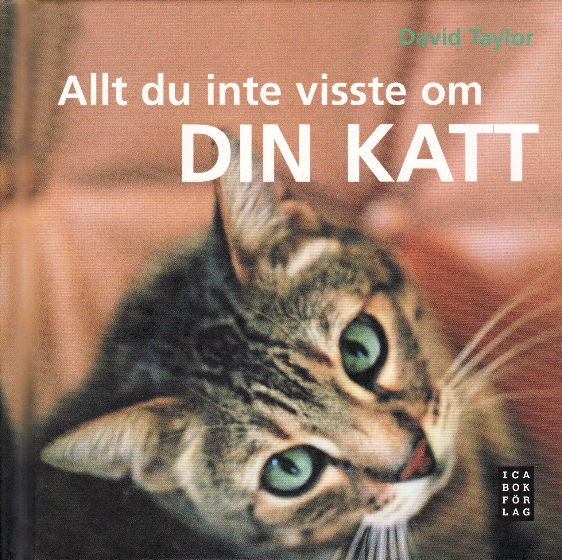 Allt du inte visste om din katt