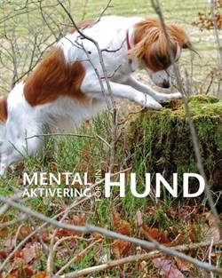 Mental aktivering för din hund