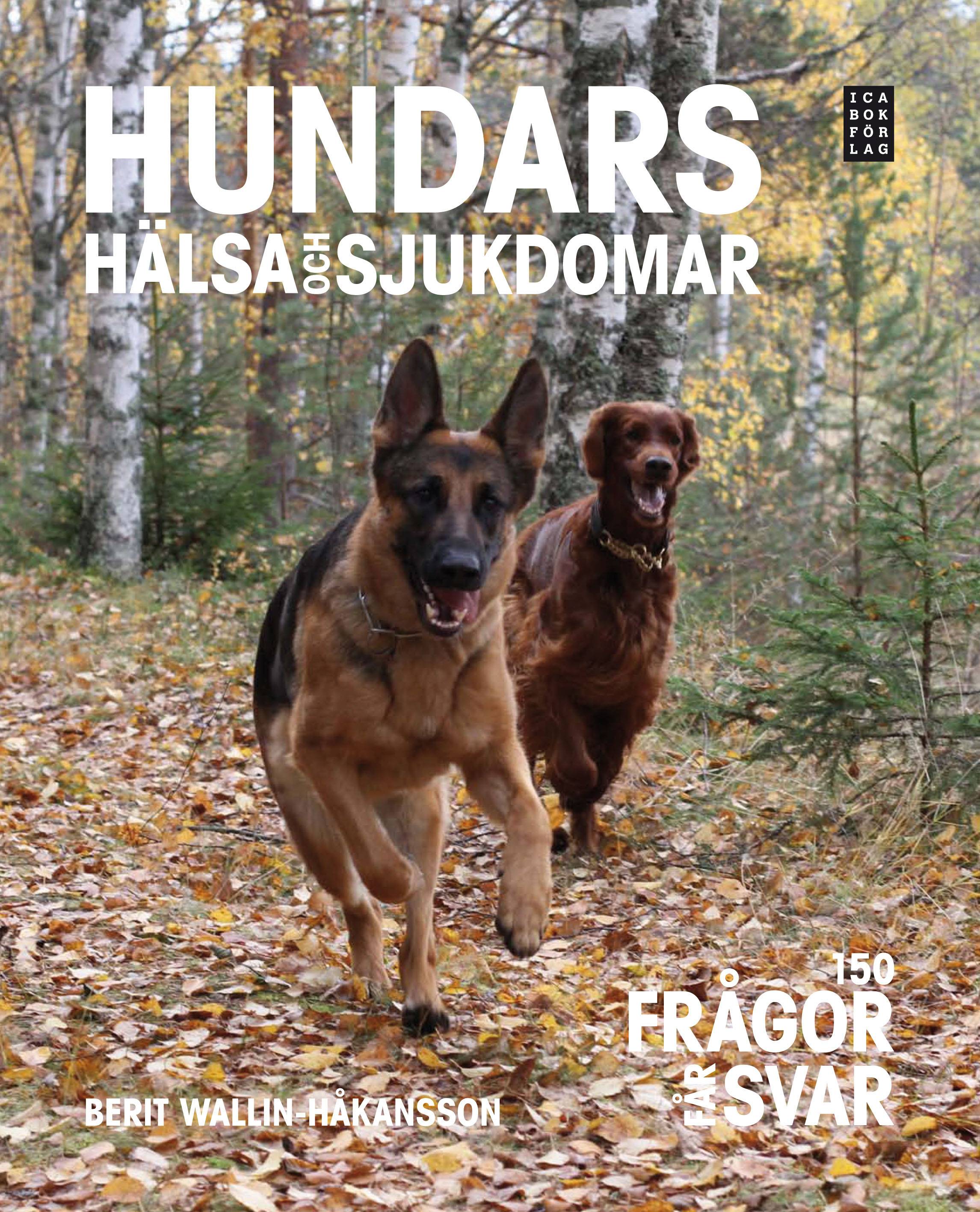 Hundars hälsa och sjukdomar