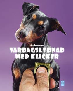 Vardagslydnad med klicker