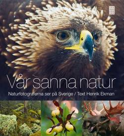 Vår sanna natur : naturfotograferna ser på Sverige