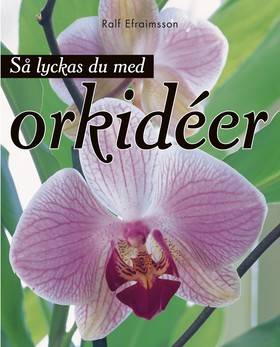 Så lyckas du med orkidéer