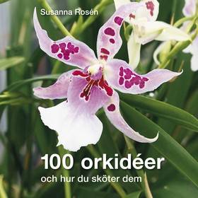 100 orkidéer : och hur du sköter dem