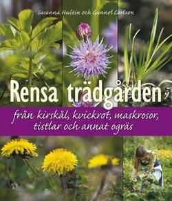 Rensa trädgården från kirskål, kvickrot, maskrosor, tistlar och annat ogräs