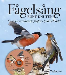 Fågelsång runt knuten : Sveriges vanligaste fåglar i ljud och bild