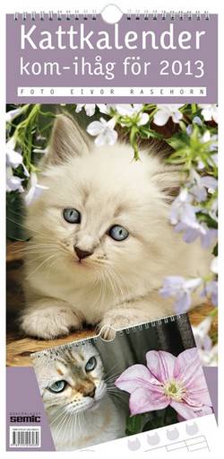 Kattkalender - kom-ihåg för 2013