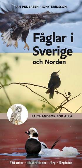 Fåglar i Sverige och Norden : fälthandbok för alla