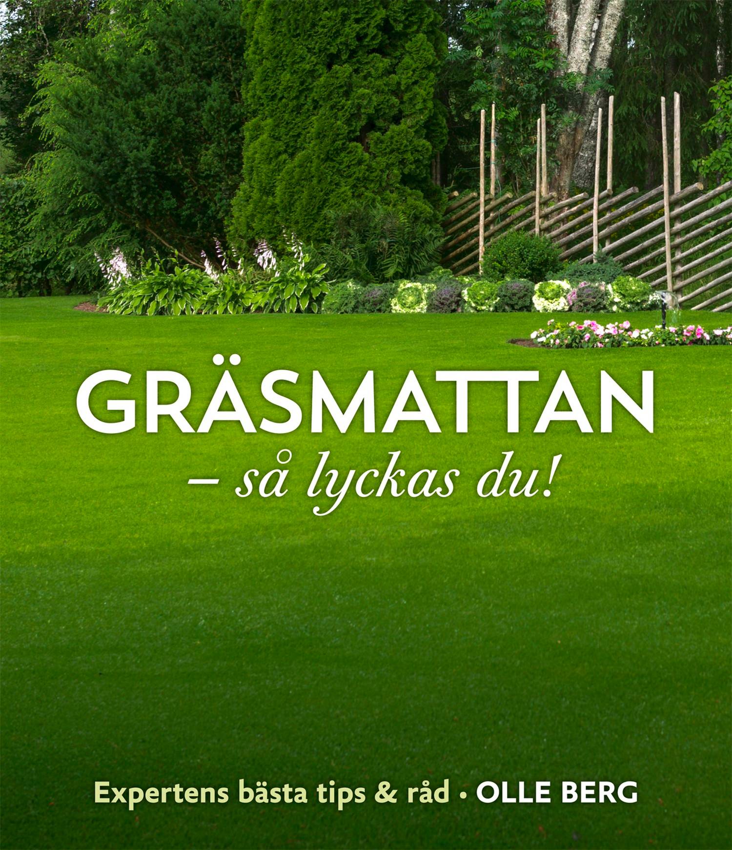 Gräsmattan : så lyckas du!