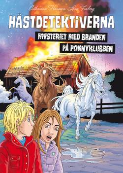 Mysteriet med branden på ponnyklubben