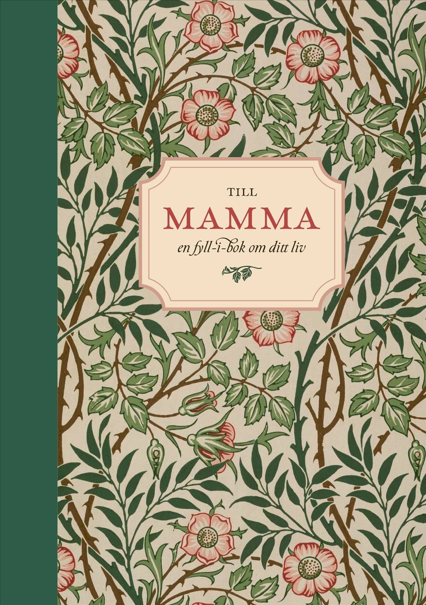 Till mamma : en fyll-i-bok om ditt liv