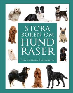 Stora boken om hundraser : Fakta, egenskaper och kännetecken