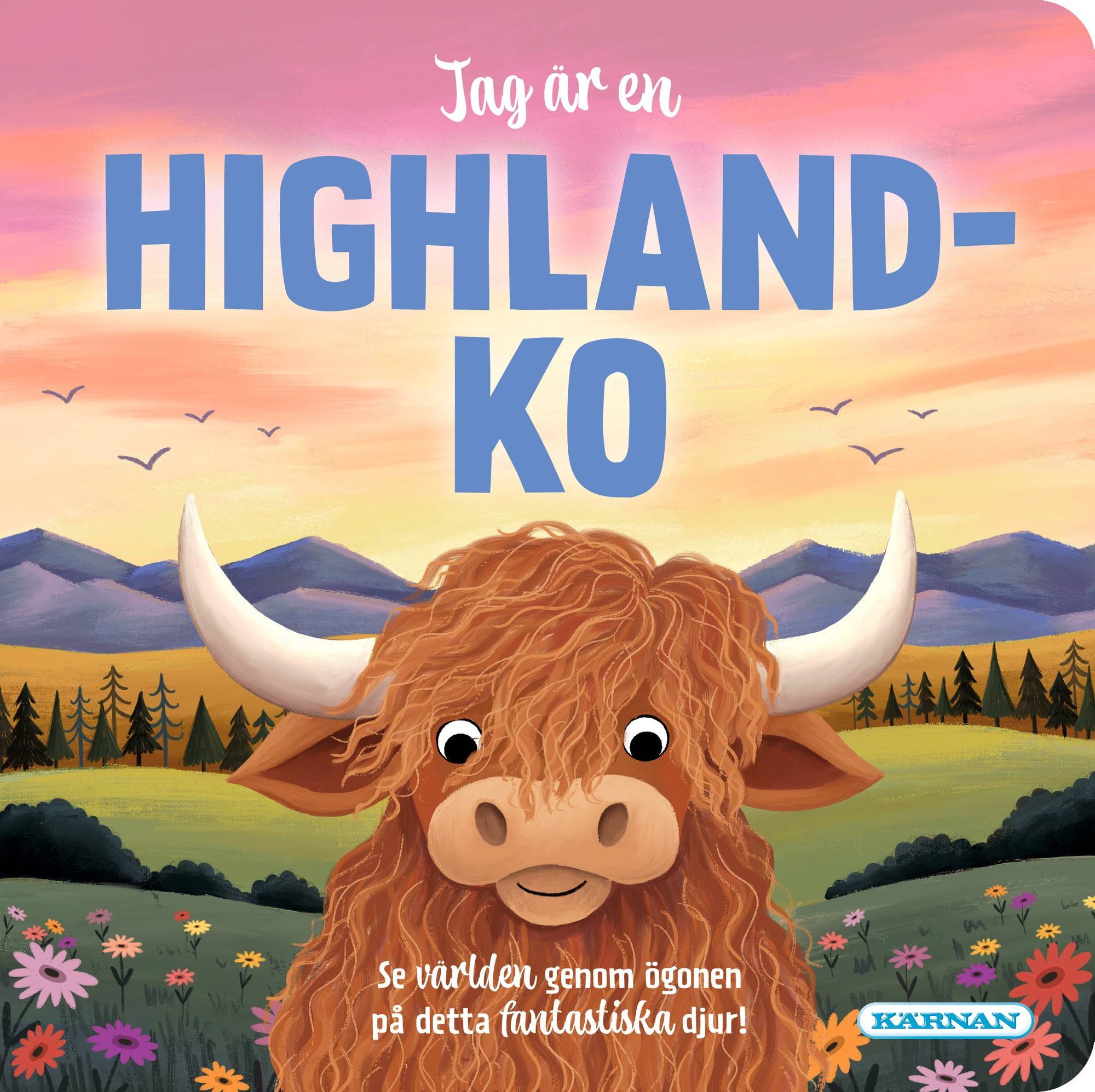 Jag är en Highland-ko