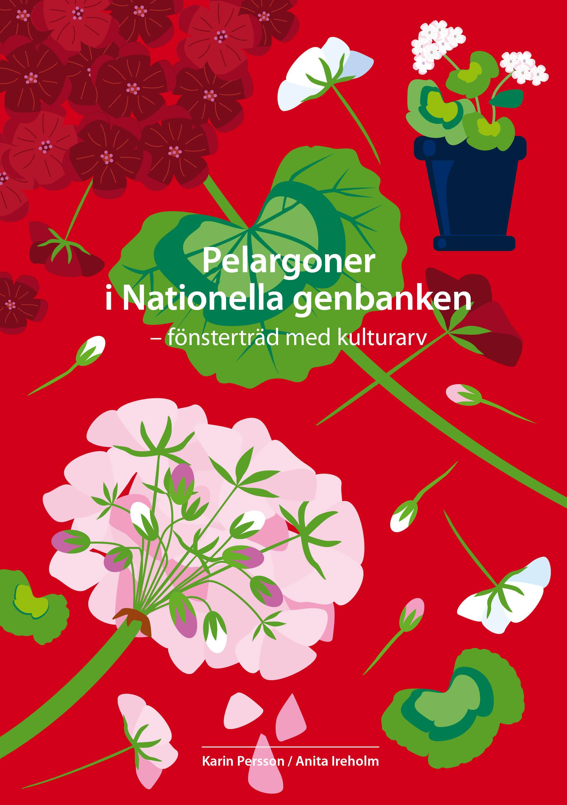 Pelargoner i Nationella genbanken - fönsterträd med kulturarv