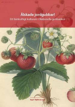 Älskade jordgubbar! - Ett bärkraftigt kulturarv i Nationella genbanken