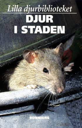 Lilla djurbiblioteket 3 Djur i staden