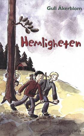Hemligheter