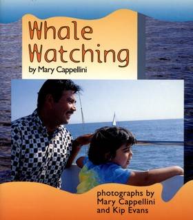 Whale Watching, 6-pack