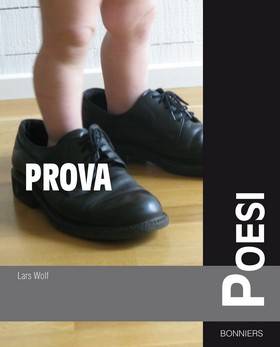 Prova poesi